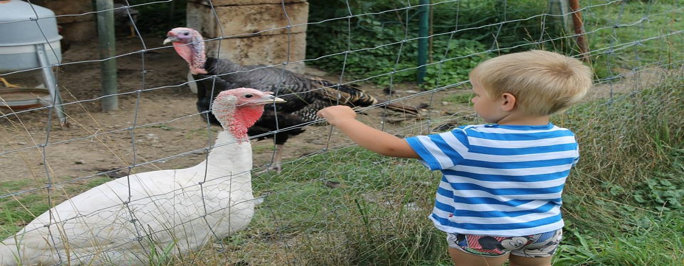 Ferme pédagogique